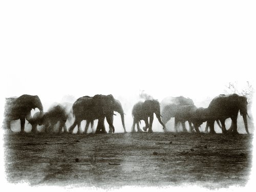 Classic Africa #TOP3