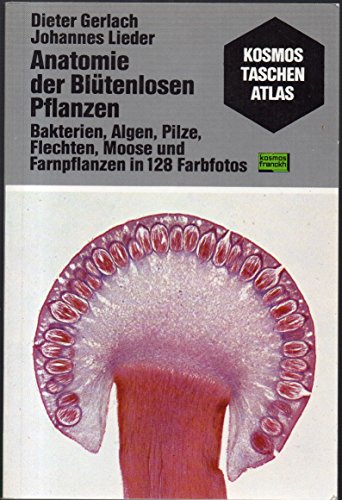 Preisvergleich Produktbild Anatomie der Blütenlosen Pflanzen. Bakterien, Algen, Pilze, Flechten, Moose und Farnpflanzen