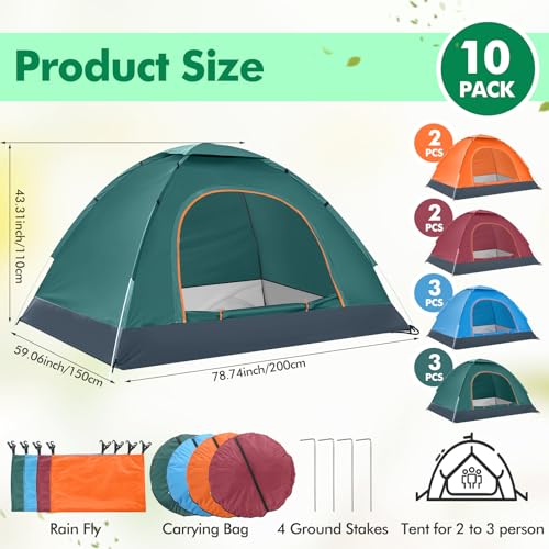 10 Pack 2-Person Waterproof Tents