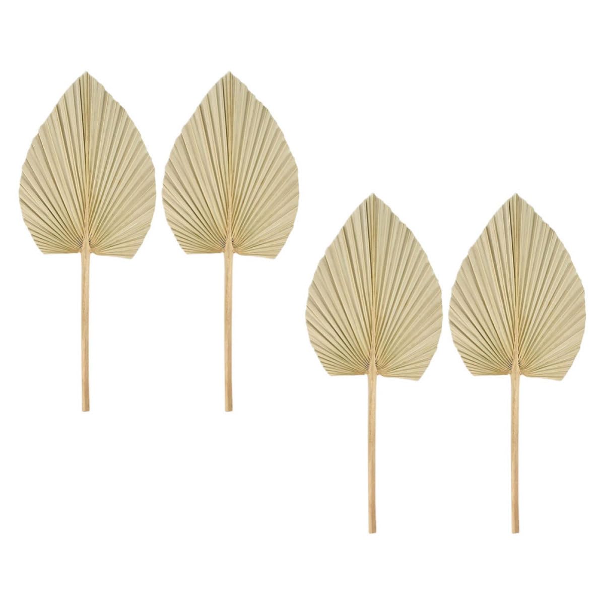 Hojas de palma secas para arreglos en fiestas rústicas y decoración de mesas de cóctel