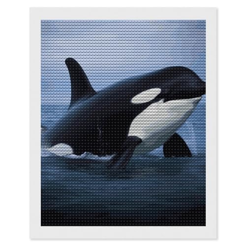 Peinture diamant 5D anti-stress - Kit complet grand format débutant QMNBTES 40x50 cm