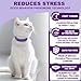 Aurevoen Cat Pheromone Calming Collar, 6-Pack Calming Collar for Cats – Adjustable 15″, 60-Day Lasting Stress & Anxiety Relief, Helps Reduce Noise Fear, Scratching & Separation Anxiety (Pruple)