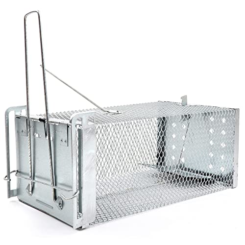 RatKil Live Rat Cage Trap | Humane Mouse Traps & Rat Traps - All Weather, Home & Animal Friendly Reusable Rat, Mouse, Squirrel, Mole, Rodent Solution (Large)