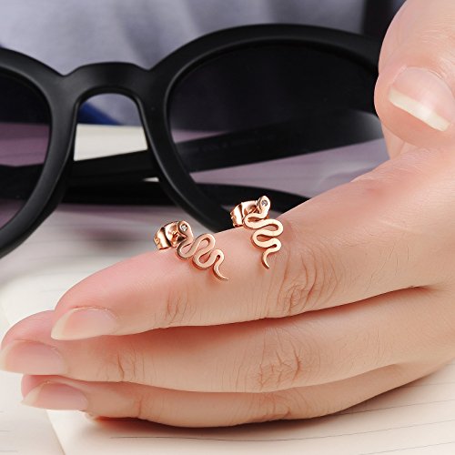 Aegean Jewelry Titanium Stainless Steel Lady's Charming Snake Stud Earring With A Gift Box And A Free Small Gift #TOP2
