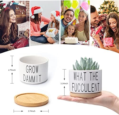 Ceramic Plant Pot,Meiyaa Set of 2 White 3.6 inch Ceramic Succulent Flower Planter Pot with Bamboo Tray for Succulent and Herb Plant Indoor or Outdoor Decoration (Plant not included) (A)