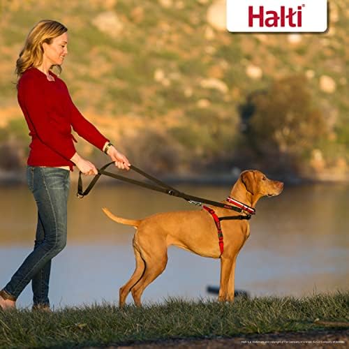 HALTI Front Control Harness, Size Small, Professional Dog Harness to Stop Pulling on the Lead, Easy to Use, Anti-Pull Training Aid, Front Leading No Pull Harness for Small Dogs