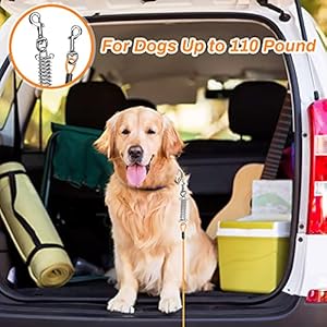 Dog-Tie-Out-Cable-Jhua-20ft-Tie-Out-Cable-for-Dogs-Stainless-Steel-Wire-Rope-with-Shock-Absorbing-Spring-Metal-Swivel-Hooks-Pet-Tie-Out-Cable-for-Large-Dogs-Up-to-110-lbs-Orange - Cucciolini Doodles Dog-Tie-Out-Cable-Jhua-20ft-Tie-Out-Cable-for-Dogs-Stainless-Steel-Wire-Rope-with-Shock-Absorbing-Spring-Metal-Swivel-Hooks-Pet-Tie-Out-Cable-for-Large-Dogs-Up-to-110-lbs-Orange