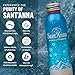 Sant'Anna Frizzante Sparkling Mineral Water, 16.9 Fl Oz Bottles (12-Pack) | Pure French Pyrenees Mountain-Fresh Drinking Water | Natural Functional Drink | Sodium-Free, Nitrate-Free, Sulfate-Free in Aluminum Bottles