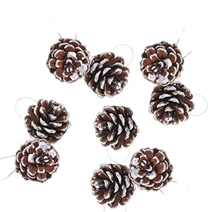 Piñas con Cuerda