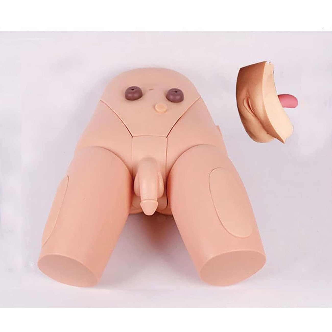 Modèle De Cathétérisme Interchangeable Homme-Femme, Moule pour l'enseignement du Cathétérisme, Formation Au Cathétérisme pour La Pratique Médicale