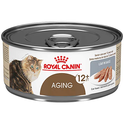 Royal Canin Aging 12+ Senior Cat Food