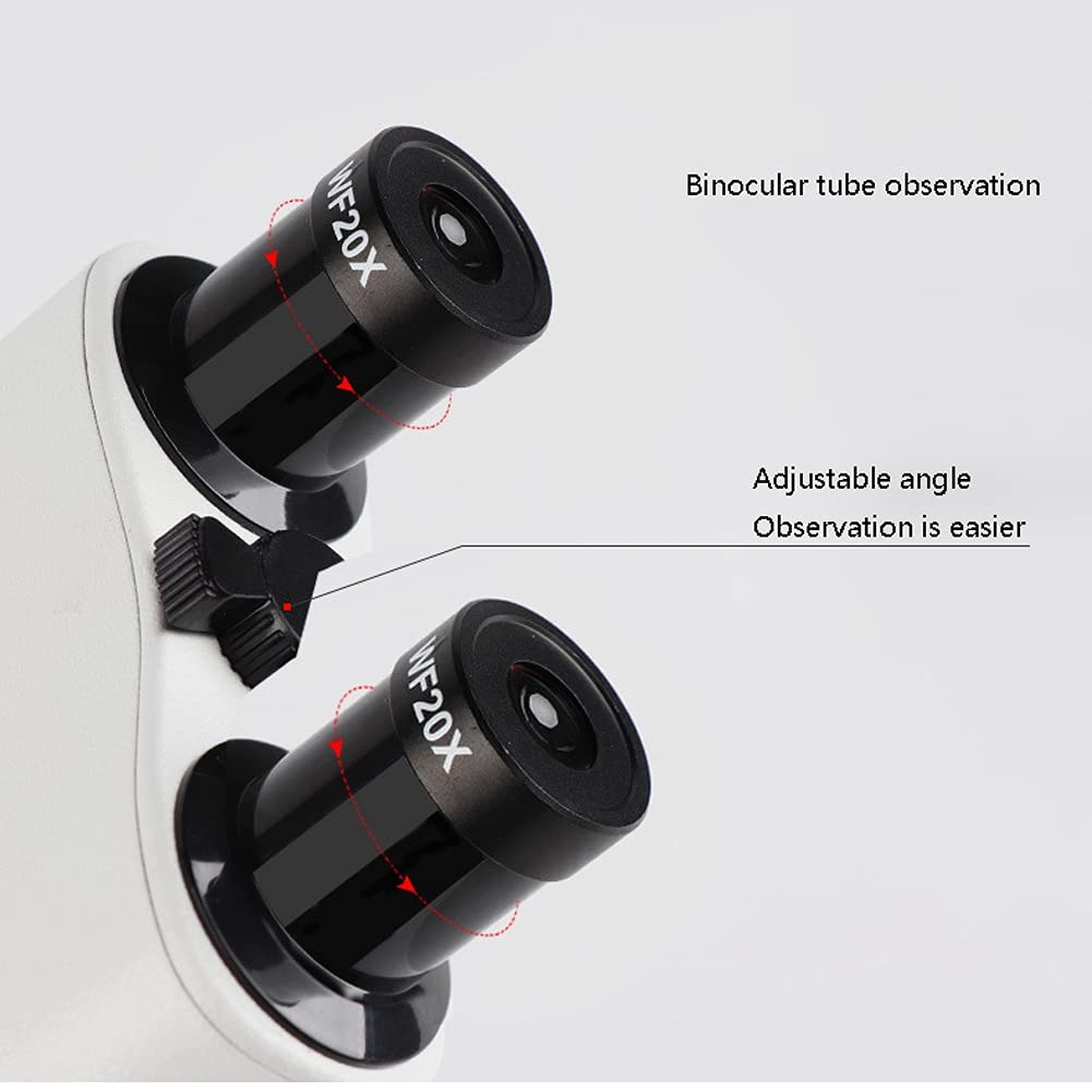 Microscopio Binoculare Composto Microscopi da Laboratorio Lente d'Ingrandimento Tavolino Meccanico per Laboratorio didattico Kit scientifico per hobbisti
