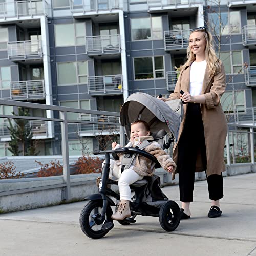 Image of POSH BABY & KIDS QPlay Rito Kids Tricycle with 3-Stages - Premium Toddler Tricycle Bike Featuring Easy Storage & Transportability, Safety Harness, Adjustable Canopy & Parent Handle (Ages 1-5, Grey)