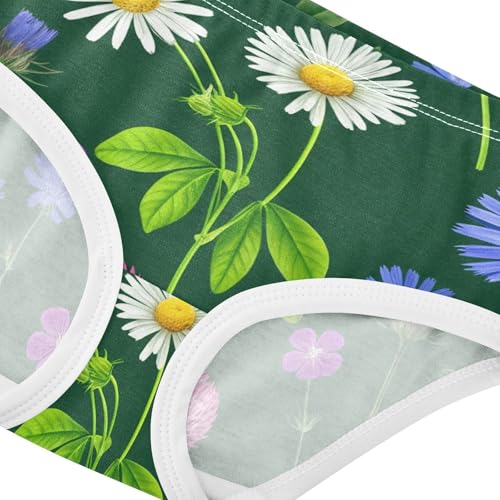 Cotton Girls Underwear Toddler Green Floral Wildflowers Daisies Panties for Girl Personalized Underpants Briefs 2t4