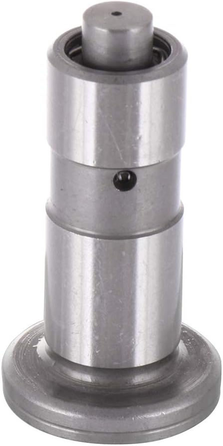 ECCPP 4PCS Engine Hydraulic Lifter Fit for 1990-1992 for Infiniti M30 1985-1994 for Nissan Maxima 1987-1988 for Nissan 200SX 1984-1989 for Nissan 300ZX JB-217 LF3011 Lifters