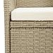 vidaXL 2X Garten Essstuhl Gartensessel Gartenstuhl Sessel Stuhl Rattanstuhl Gartenmöbel Stühle Balkonstuhl Terrassenstuhl Poly Rattan Beige