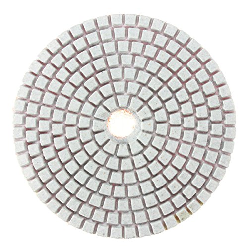 RanDal 9Pcs 4 Pulgadas 50-3000 Grano Diamante Pulido Almohadillas De Ajuste Con La Herramienta De Pulido De Disco Autoadhesivo