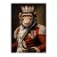 Chimp