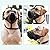 Apobabo Dog Muzzle, Breathable Soft Basket Muzzles for Small, Medium, Large Dogs, Prevents Biting, Barking, and Chewing (5)
