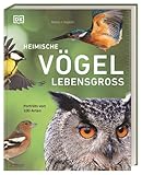 Dorling Kindersley Verlag