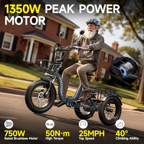 tccyica Electric Tricycle with Hydraulic Brakes