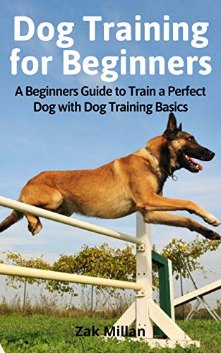 agility basics
