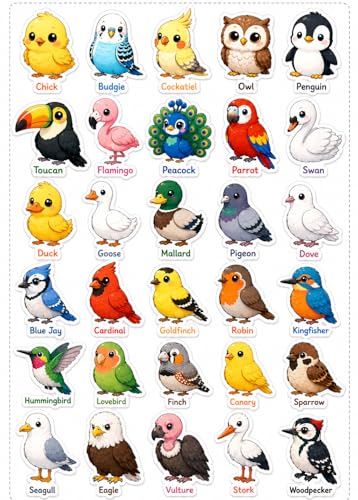 Image of UV DTF Sticker Set - Photo Sticker with Name Labels - Pack of 31 Premium Glossy Waterproof Stickers | Raised Embossed Finish | for Phone, Laptop, Bottle, Lunch Box (Bird Sticker)