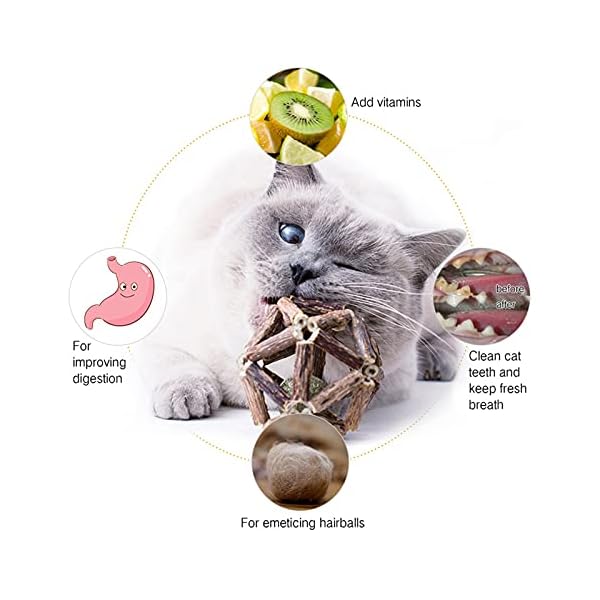 Gochanmon catnip toys-2pcs natural silvervine stick catnip ball&bell ball-cat toys for indoor cats- cleaning teeth molar tools matatabi cat chew toy-kitten toys - image 3