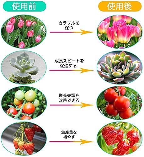Bulbright 植物育成LEDライト E26口金 フルスペクトラム 100W相当 プラントライト 植物育成用ランプ 水耕栽培ライト 室内用ライト 省エネ 長寿命 ガーデニング 家庭菜園 園芸用品 (100W) の商品画像 5