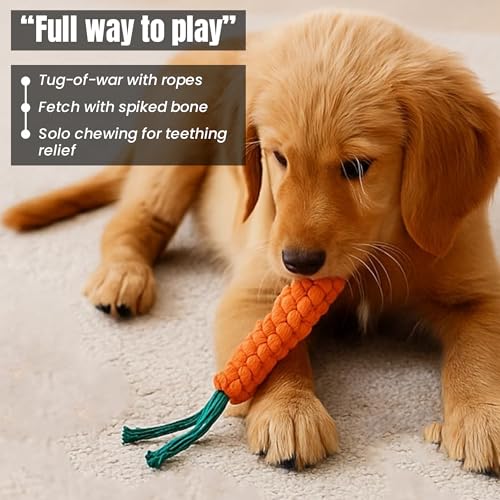 Image of Dog Rope Toys for Large /Medium Aggressive Chewers Tough Rope Chew Toy with Easy Hold Handle, Indestructible Natural Cotton Tug Rope (Rope Dog Toy Set - 3)