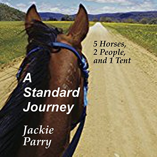 Cover art for A Standard Journey