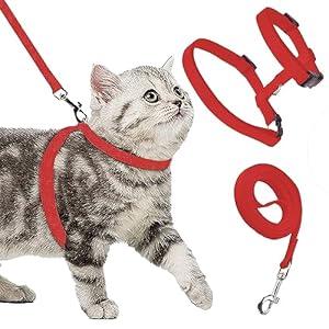 Buraq Basic Full Body Cat Harness with Leash Set for Walking | Escape Proof | Adjustable & Durable for Cats (Red)