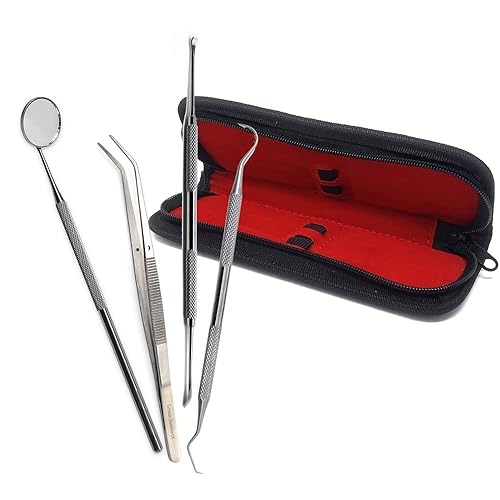 Kit de 4 piezas de raspador dental, espejo, pinzas dentadas, púa de doble extremo para limpieza profesional de dientes, removedor de placa de