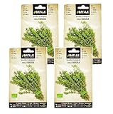 Semillas de tomillo ecológico de Semillas Batlle PACK (4)