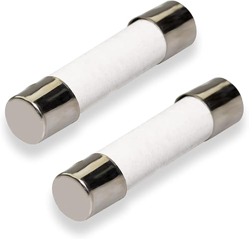 WE1X21975 Secadora de ropa Fusible de cerámica 30 Ab para secador GE 4248223 (paquete de 2)