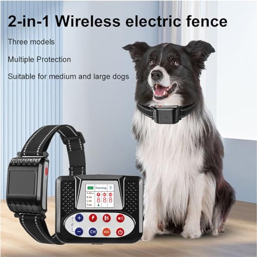 Wireless Dog Fence Training Tips