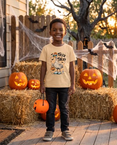Image of Boys Short Sleeve Funny Graphic Tees for Toddler to Big Kid