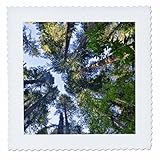 Square dimensions (in inches): 6 L x 6 W, image dimensions (in inches): 4 L x 4 W 100% poloyester; image is soft to touch. Made in USA Edges have pinking shear cut Image will not fade with washing. Image not a transfer, part of material