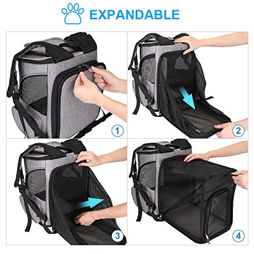 HALOVIE Pet Carrier Backpack Expandable for Cats Dogs Under 18 LB, Breathable Mesh Cat Backpack Carrier Bag, Foldable… - Image 2