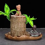ford badewanne p3 preise Geeignet für Erwachsene und Kinder in Pflanze: nur eine kleine Menge Sonnenlicht, Luft und Wasser (legt nur 0,5 cm / 0,22 Zoll Wasser in den Topf, um zu überleben) Wasserqualität: Sauberes Wasser und Mineralien können mit Wasser kultiviert werden, nur zahlen Achtung, um Zeitern der Ernährung von Wasser zu ändern: Einige Nährstofflösung sollte von Zeit zu Zeit nach der Zucht hinzugefügt werden, um seine Wachstumsbedürfnisse besser zu fördern.