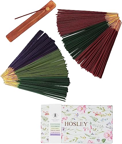 Hosley's 300 Pack Assorted Highly Fragranced Incense Sticks With Holder – Eucalyptus & Thyme, Fresh Bamboo, Lemongrass, Sensual Amber, Lavender Chamomile, Radiant Orchids #TOP2