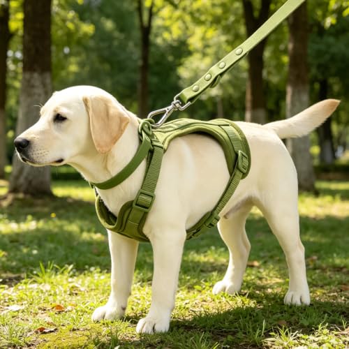 KitchMingle 4-in-1 No-Pull Dog Harness Set (Olive Green, S) — view 2