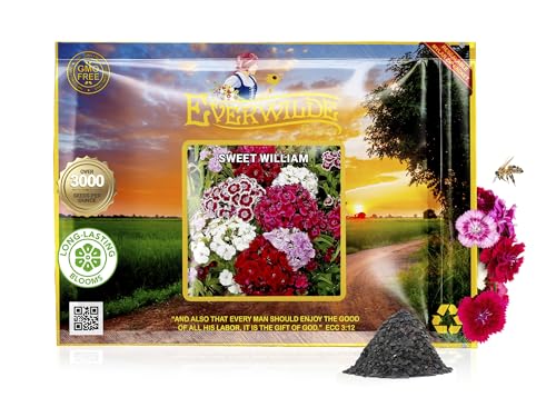 Everwilde Sweet William Seeds mix image