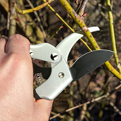 Image of Steel Blade Sharp Anvil Garden Scissors Hedge Pruning Shears, Silver & Black