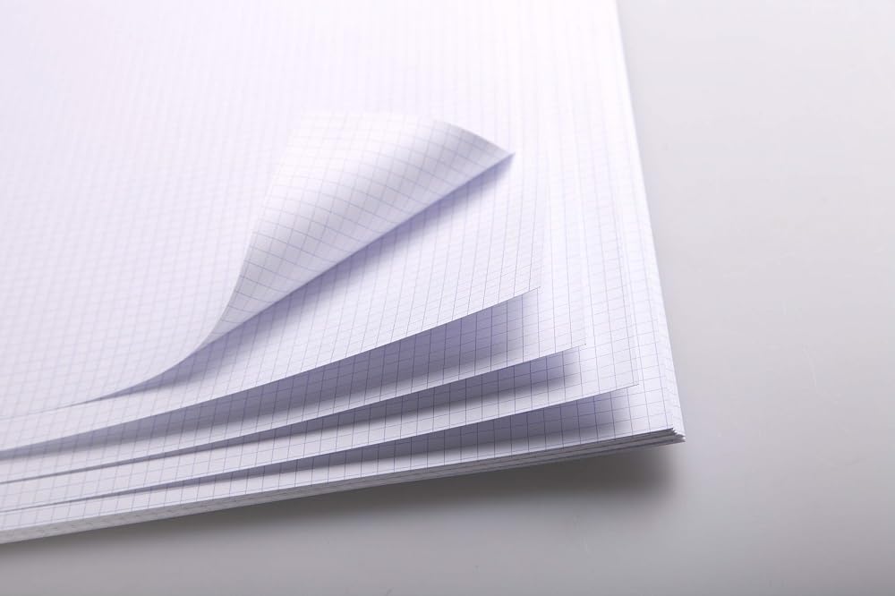 Clairefontaine Papier Bristol Quadrillé A3 320g 29,7x42 cm 20 Feuilles