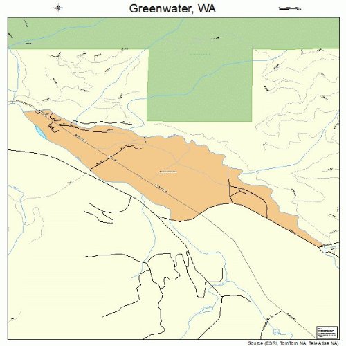 Large Street & Road Map of Greenwater, Washington WA Printed poster