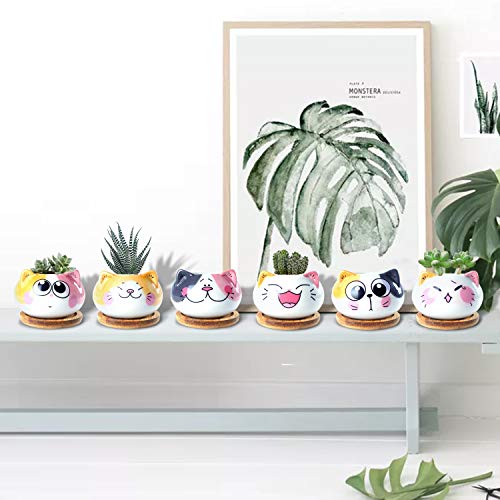 3.6Inch Cat Pot for Plant, Cat Planter Succulent Pot with Drainage Set of 6 by YINUOWEI - Used condition - Image 5