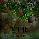  Black Apple [Explicit]