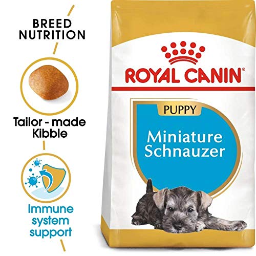 Royal Canin Miniature Schnauzer Junior 1,5 kg, 1er Pack (1 x 1.5 kg)