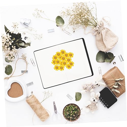 Flores prensadas naturales para manualidades 72 pcs miniatura 4